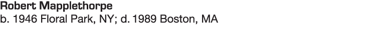 Robert Mapplethorpe b  1946 Floral Park, NY; d  1989 Boston, MA