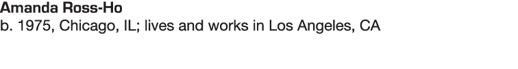 Amanda Ross-Ho b  1975, Chicago, IL; lives and works in Los Angeles, CA