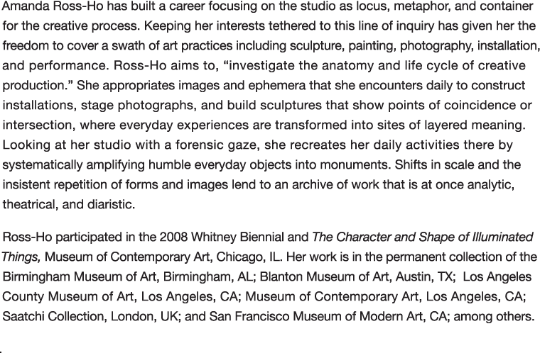 Amanda Ross-Ho has built a career focusing on the studio as locus, metaphor, and container for the creative process     