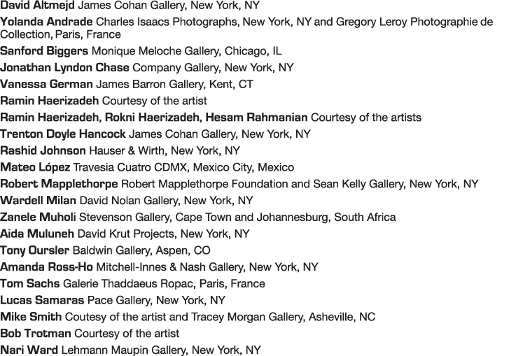 David Altmejd James Cohan Gallery, New York, NY Yolanda Andrade Charles Isaacs Photographs, New York, NY and Gregory    