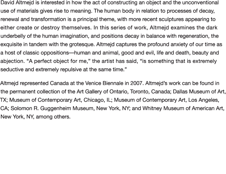 David Altmejd is interested in how the act of constructing an object and the unconventional use of materials gives ri   